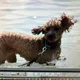 Jason profile