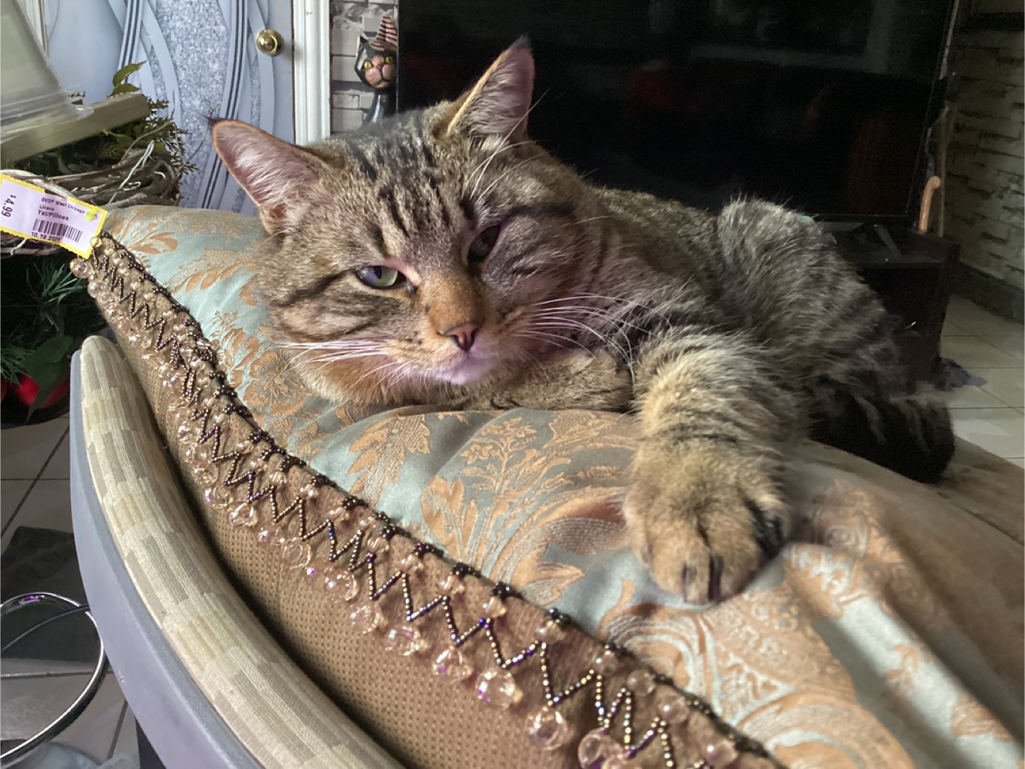 IreneGarciaGutierrez profile