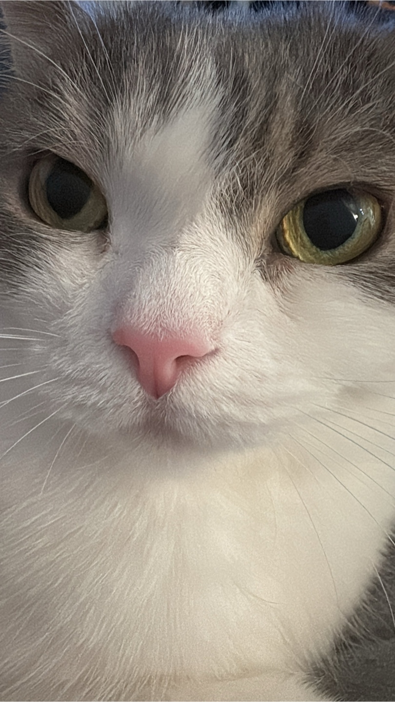 Tammy profile