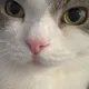 Tammy profile