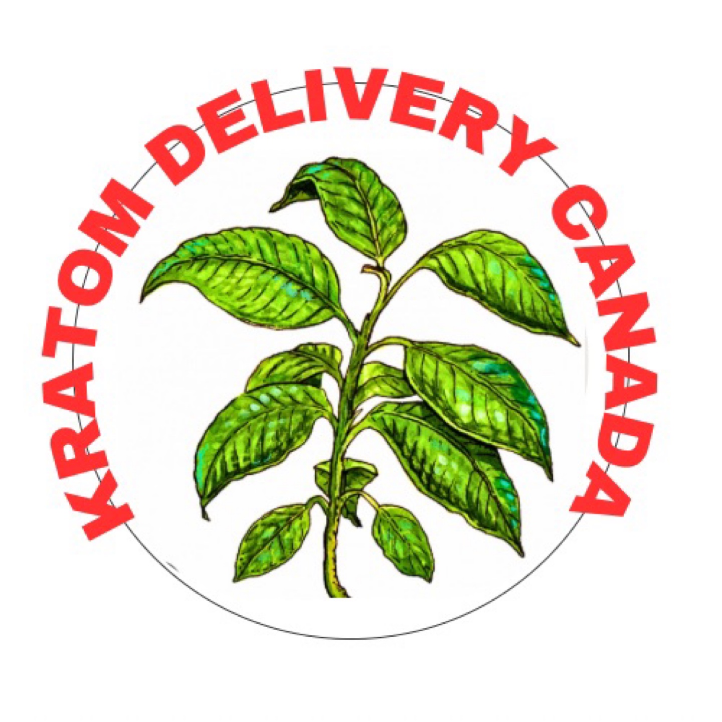 KratomDeliveryCanada profile