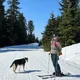 Brittany profile