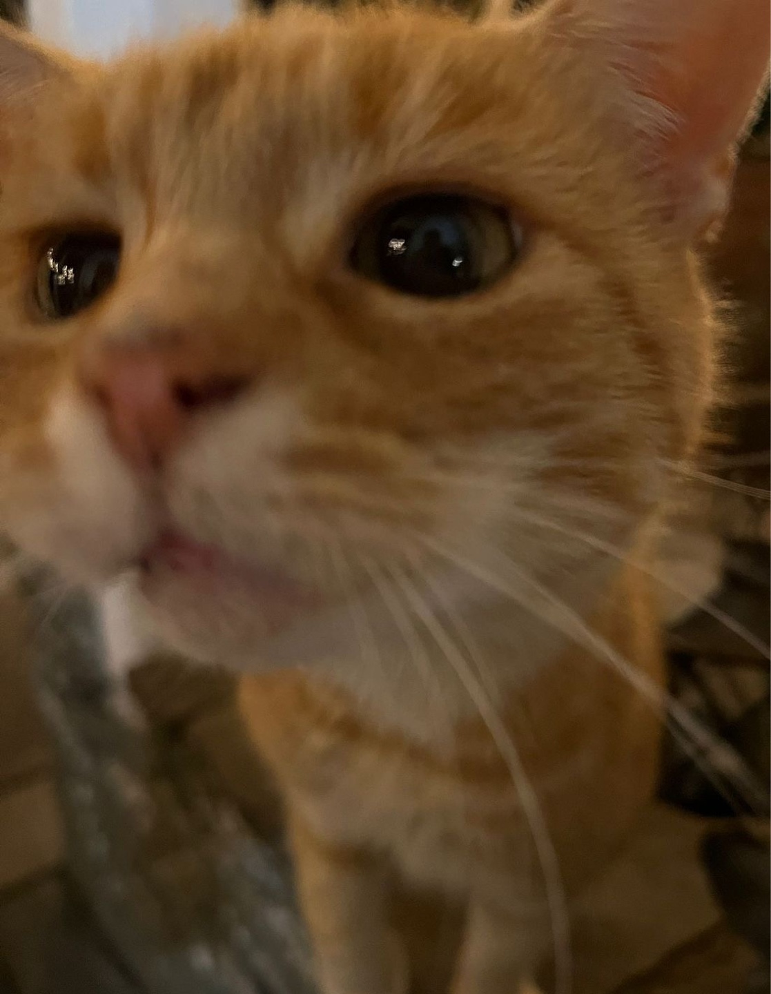 sammyyy profile