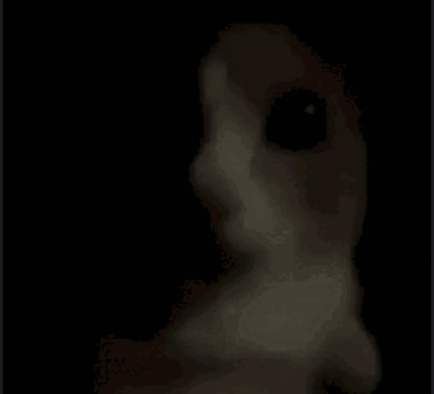 Mohaned profile