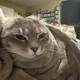 Norbert s profile