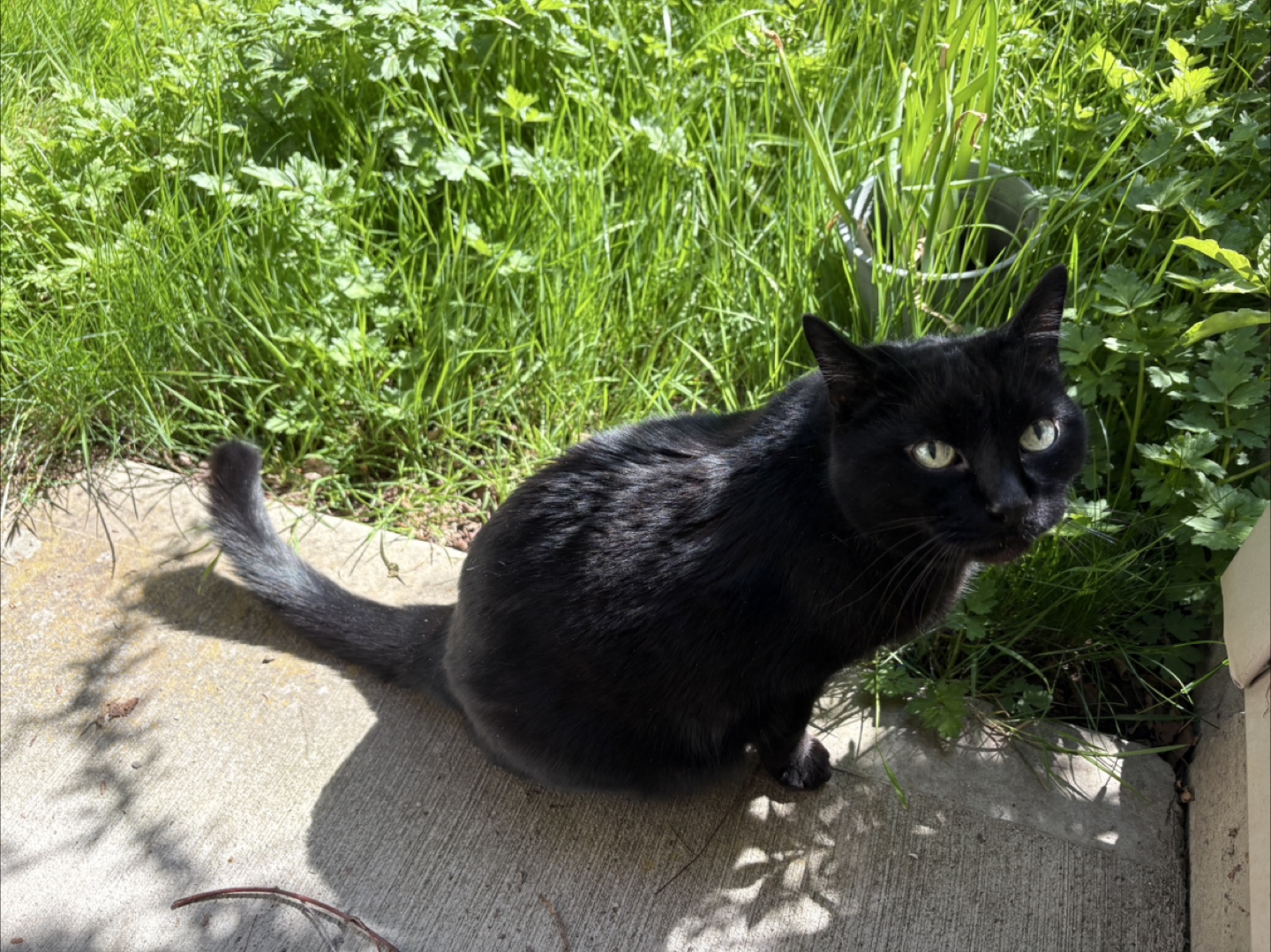 Clarey Berry profile