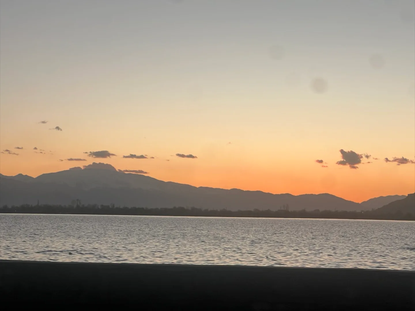 Damini Narula profile