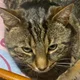 Nawal profile