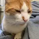 Ali profile