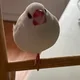 Kevin profile