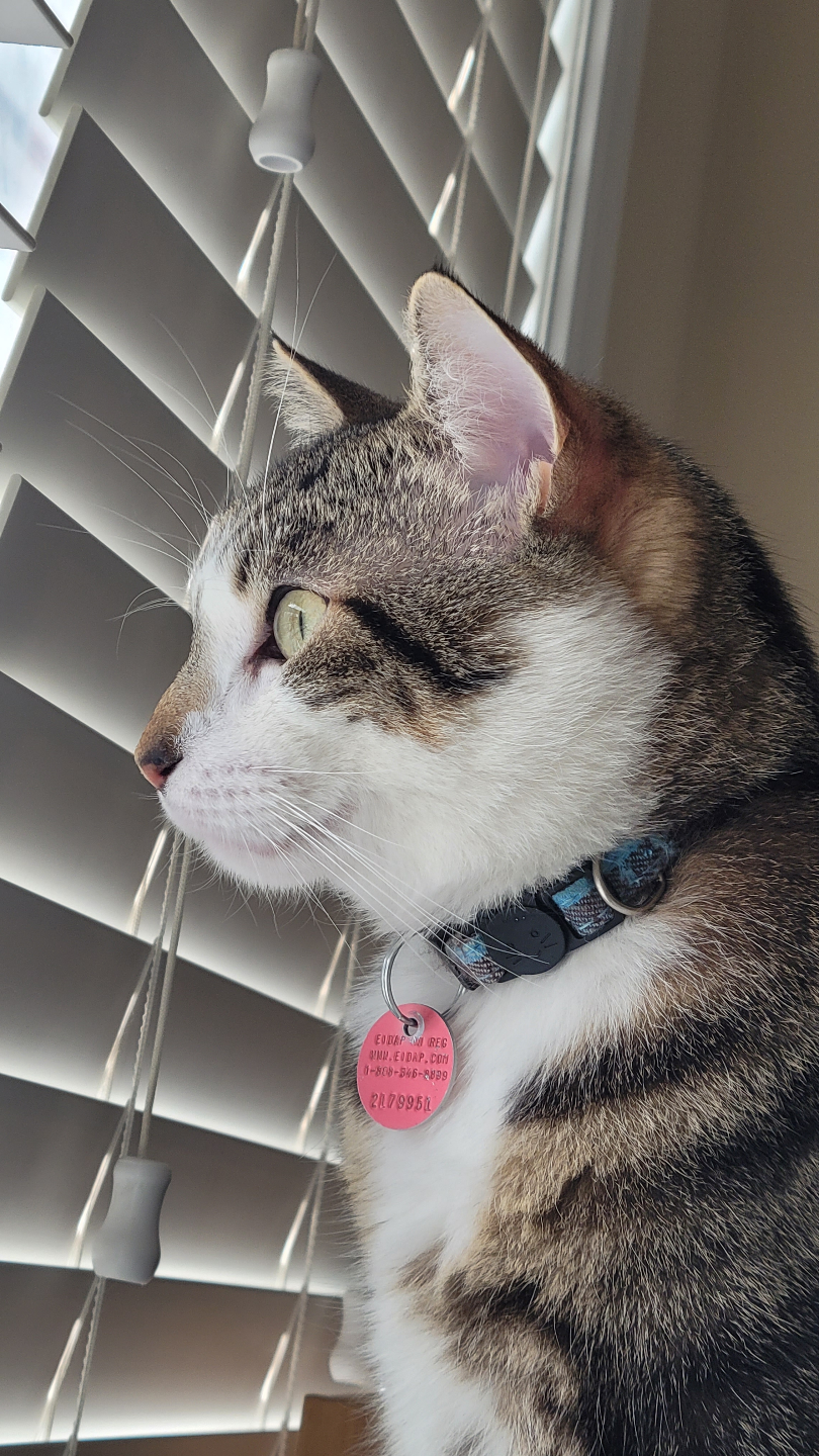 Leia profile