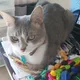 Carly profile