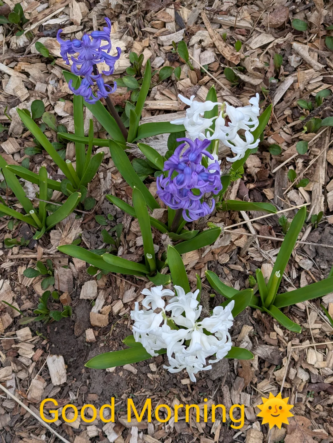 Christina Hudson profile