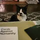 Mindy profile
