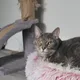 Sofia profile