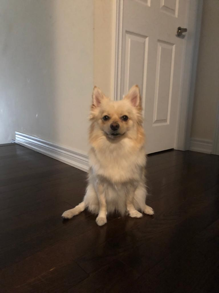 Skip profile