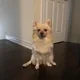 Skip profile