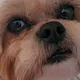 Bree profile