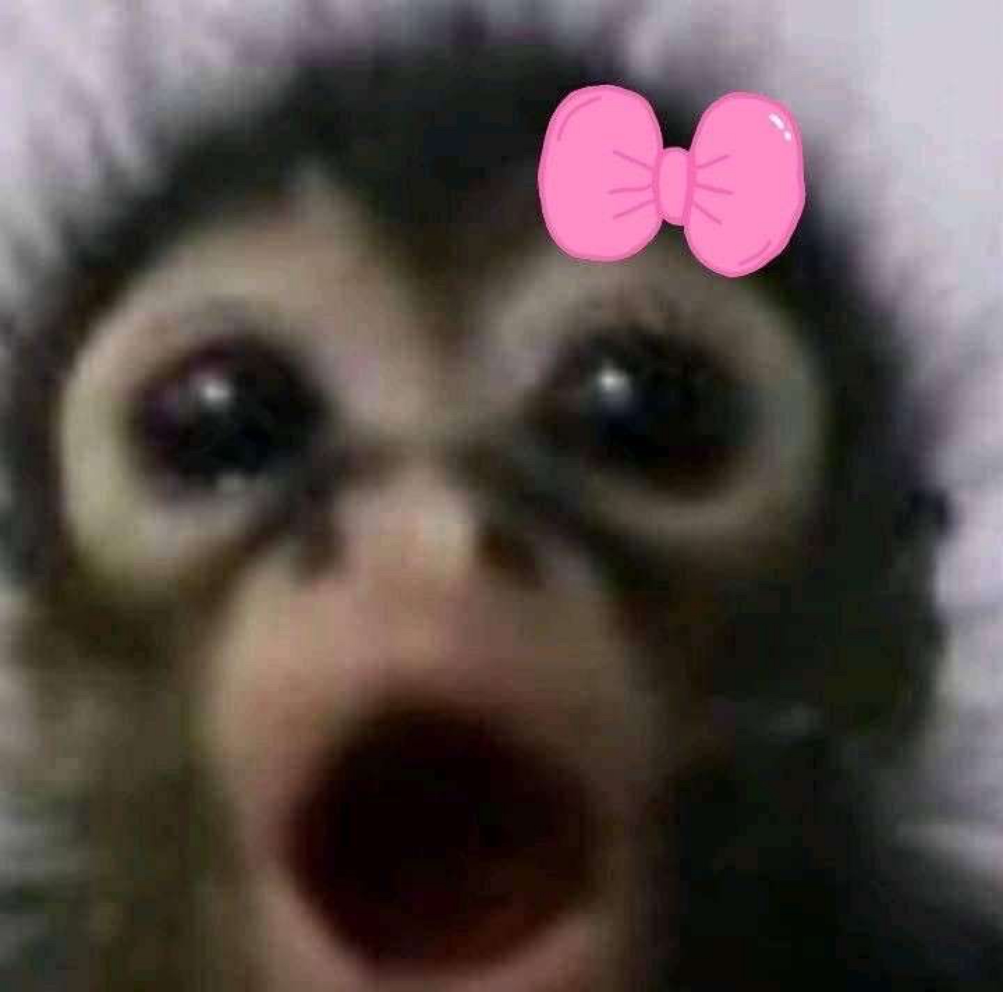 AJ