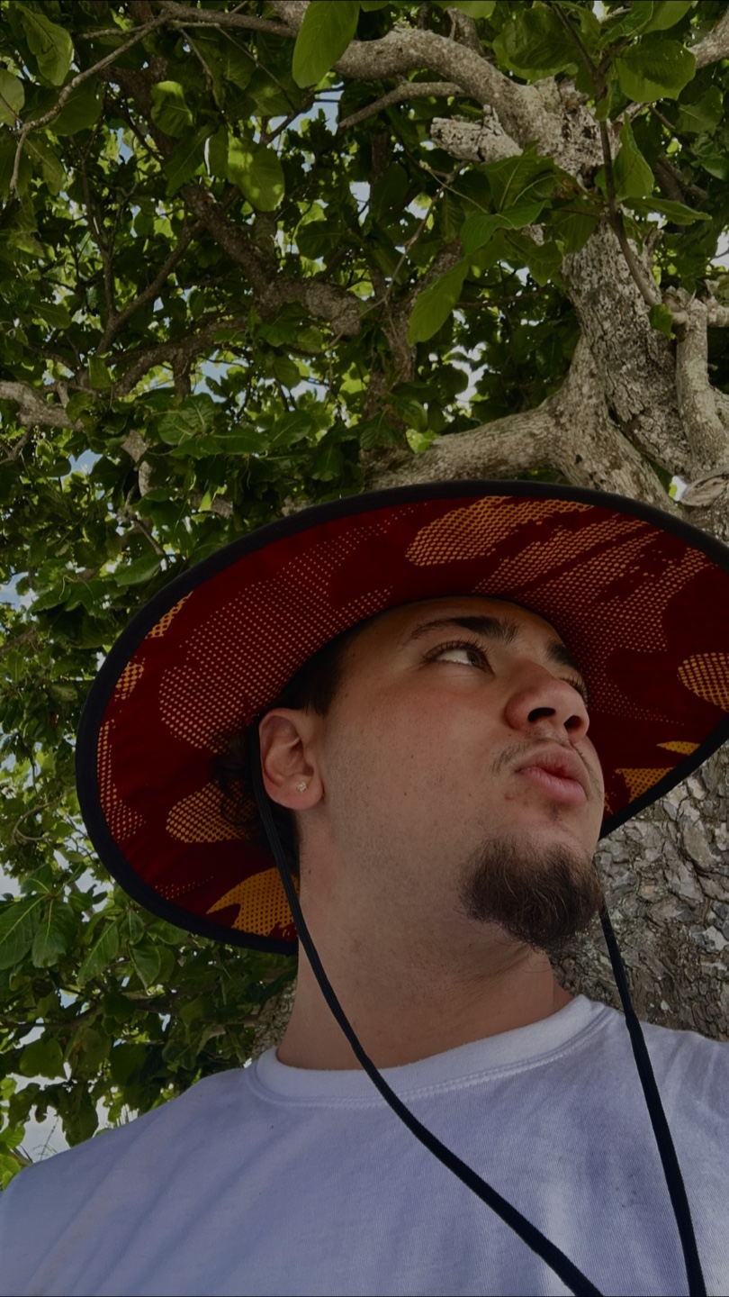 Pedro profile