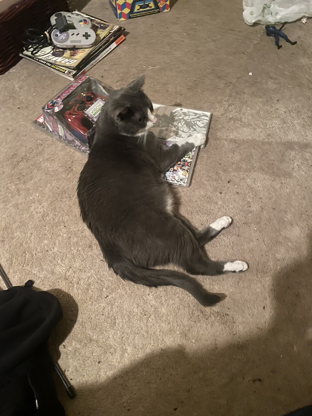 Michael Charles LTD profile