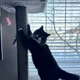 Kat B profile
