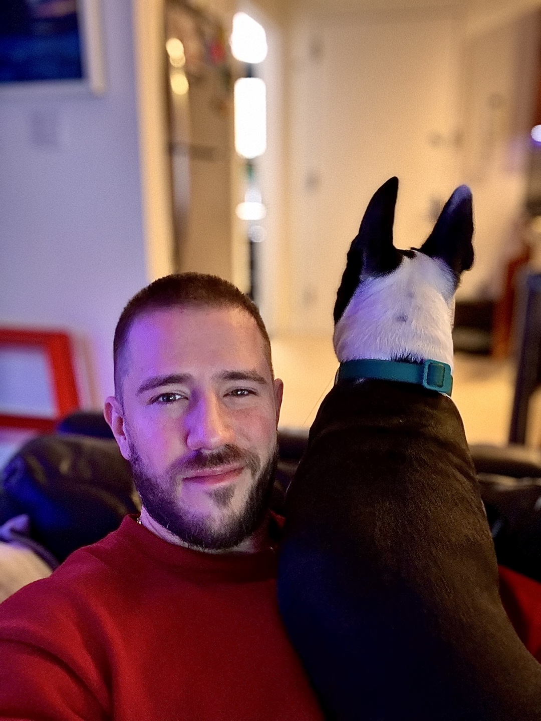Craig profile