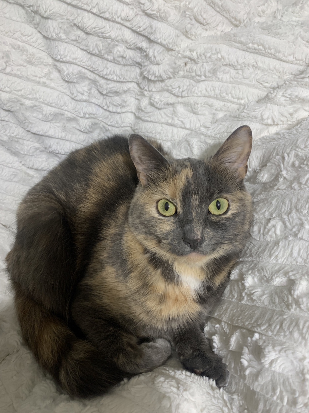 Suzie profile