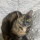Suzie profile