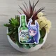 Soojuu profile