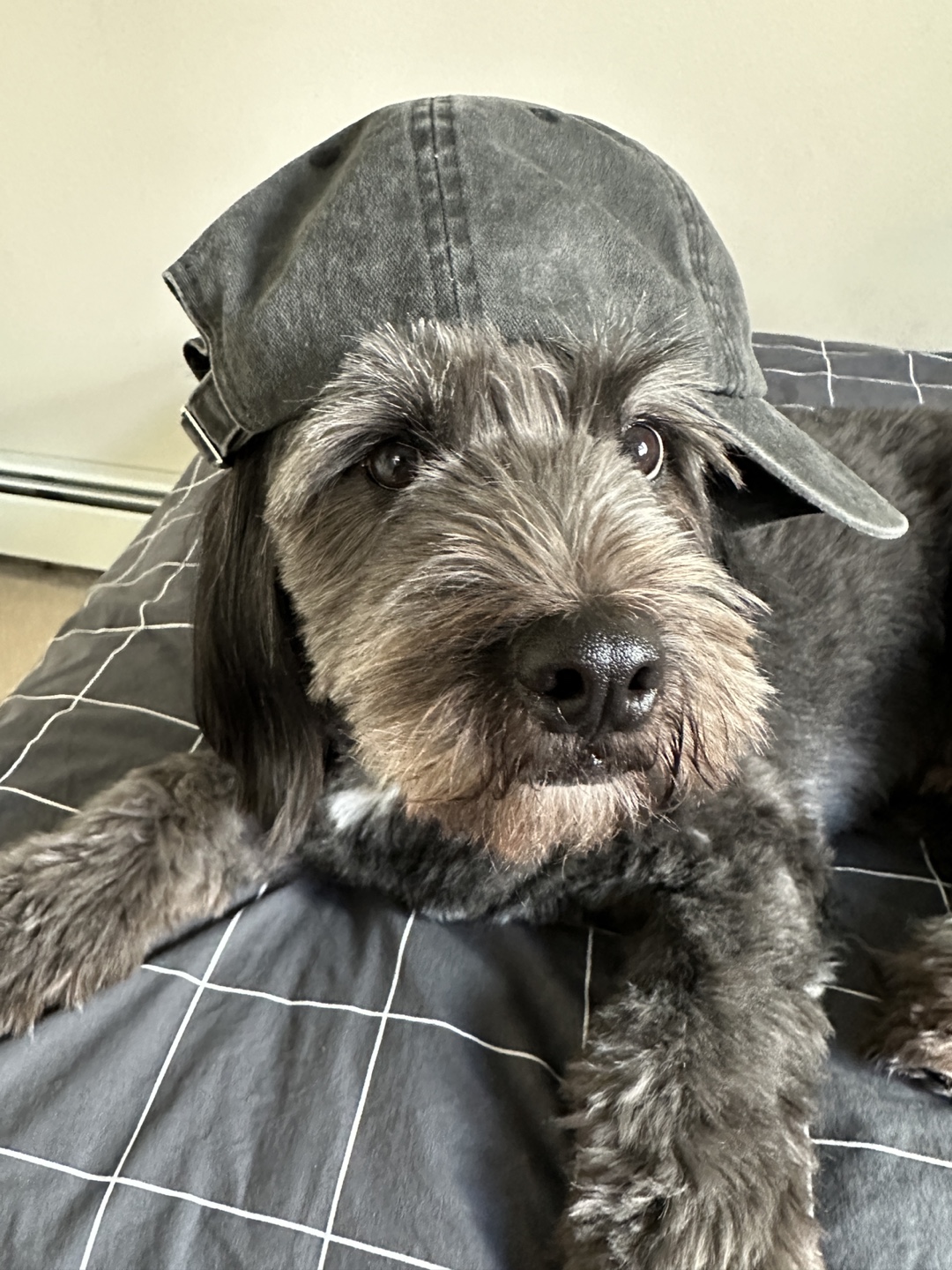 Max profile