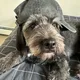 Max profile