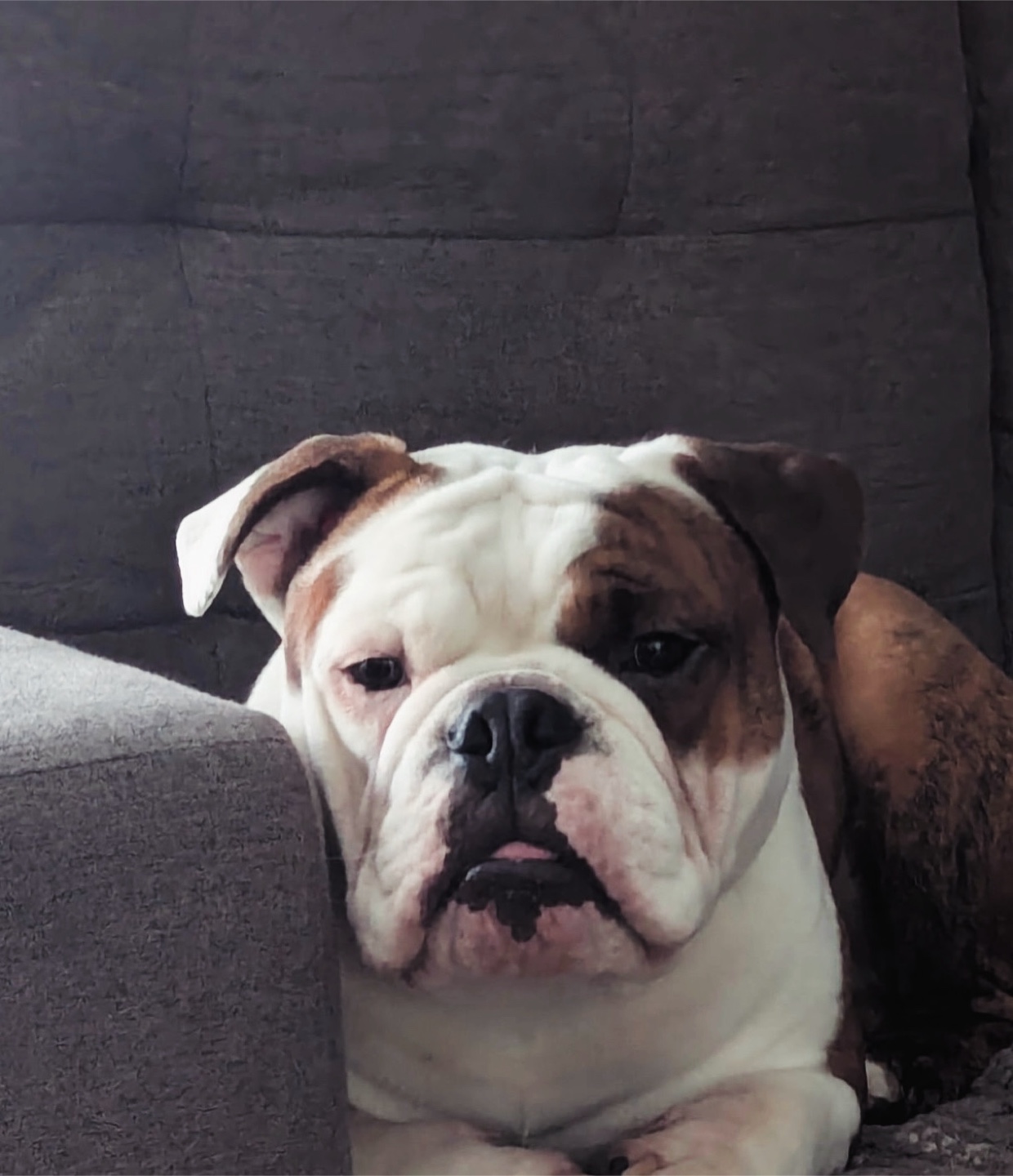 Eukie profile