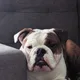 Eukie profile