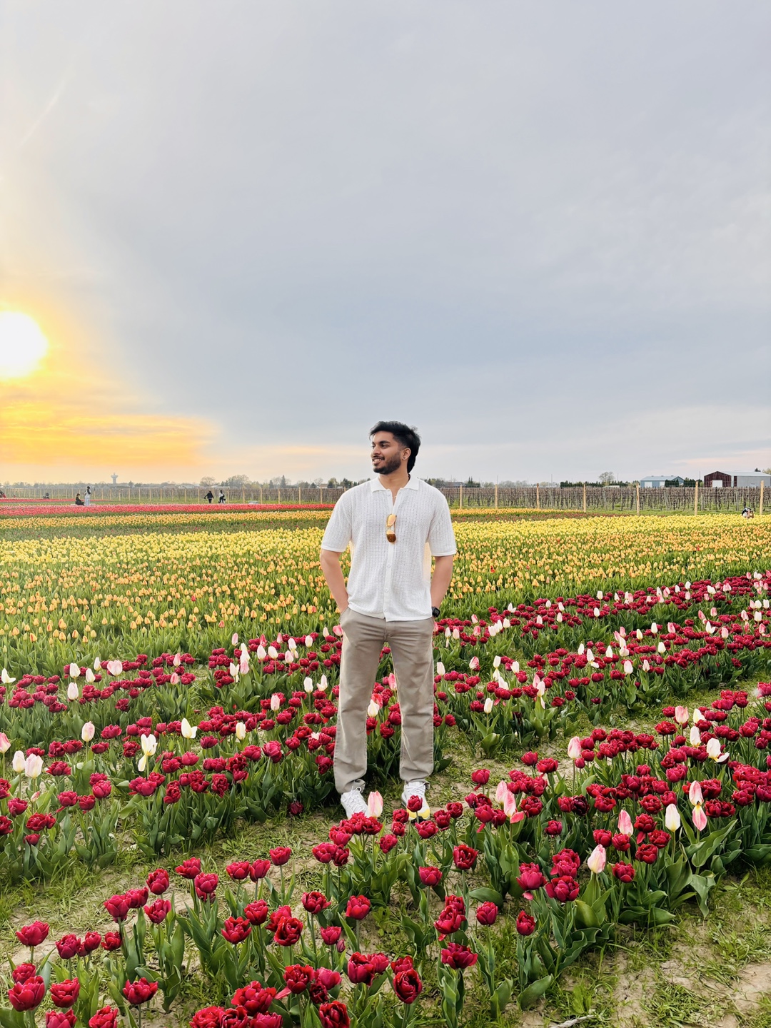 Vivek profile