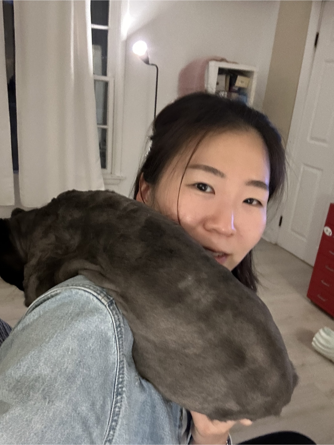 Amy profile