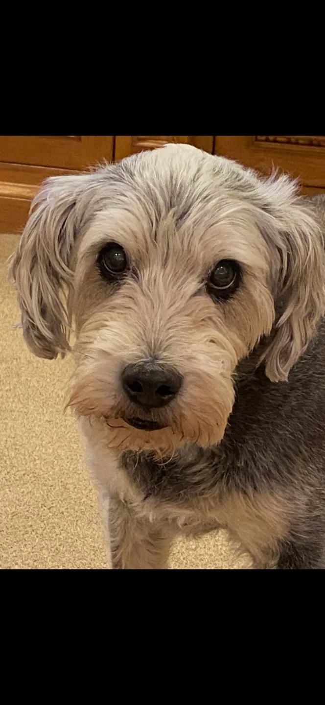 Mike Goodman profile