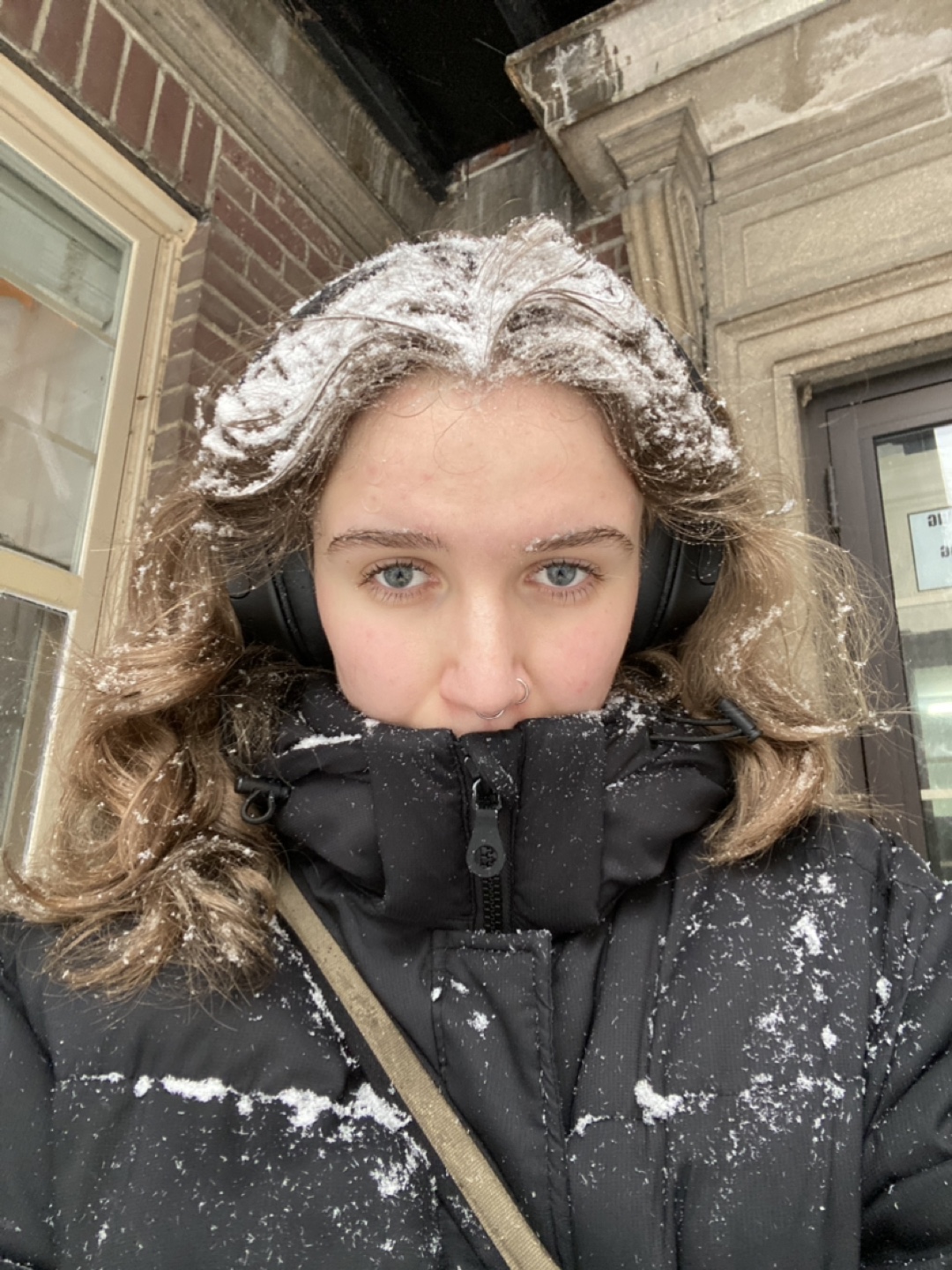 amelia profile