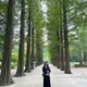 Marion profile