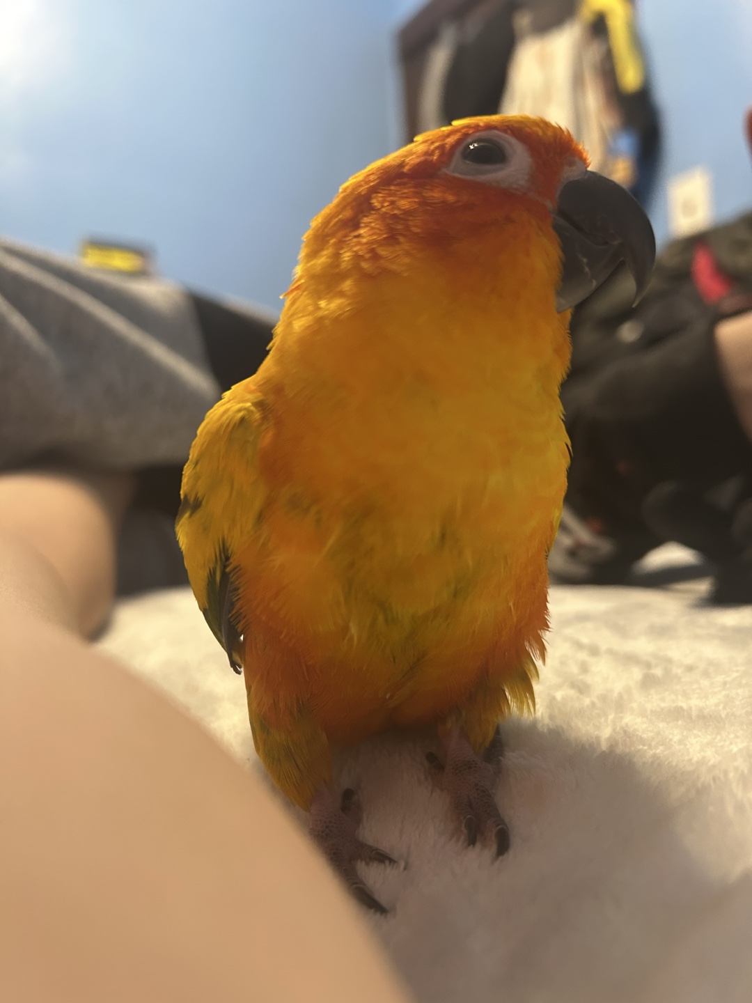 Manny profile