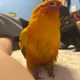 Manny profile