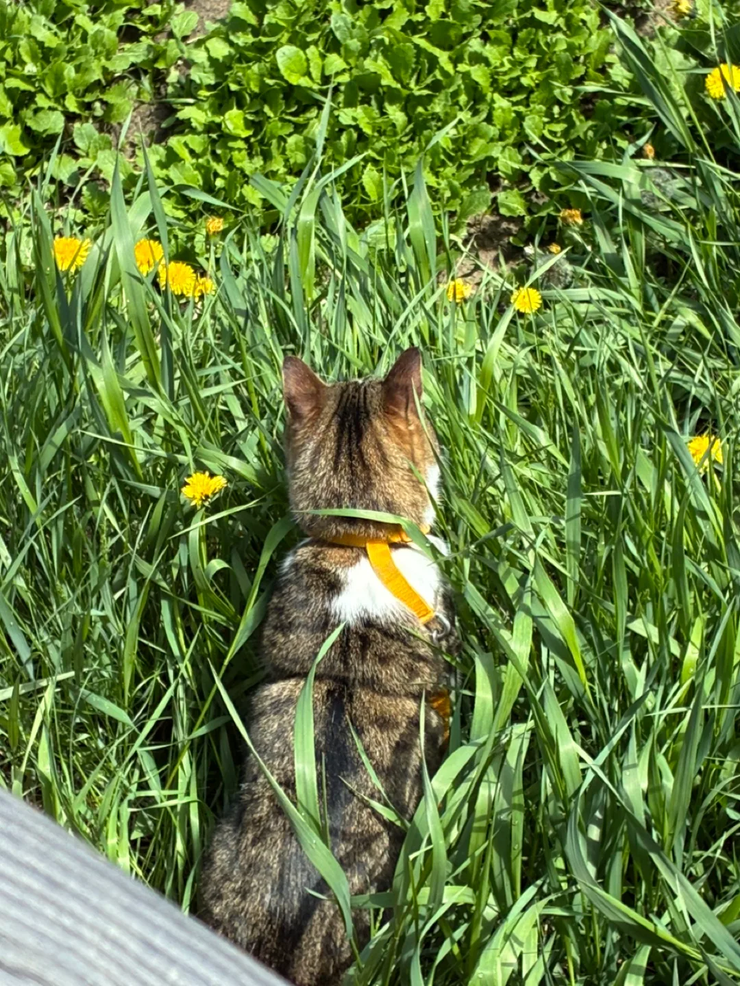 Ben Witikurr profile