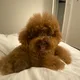 choco profile