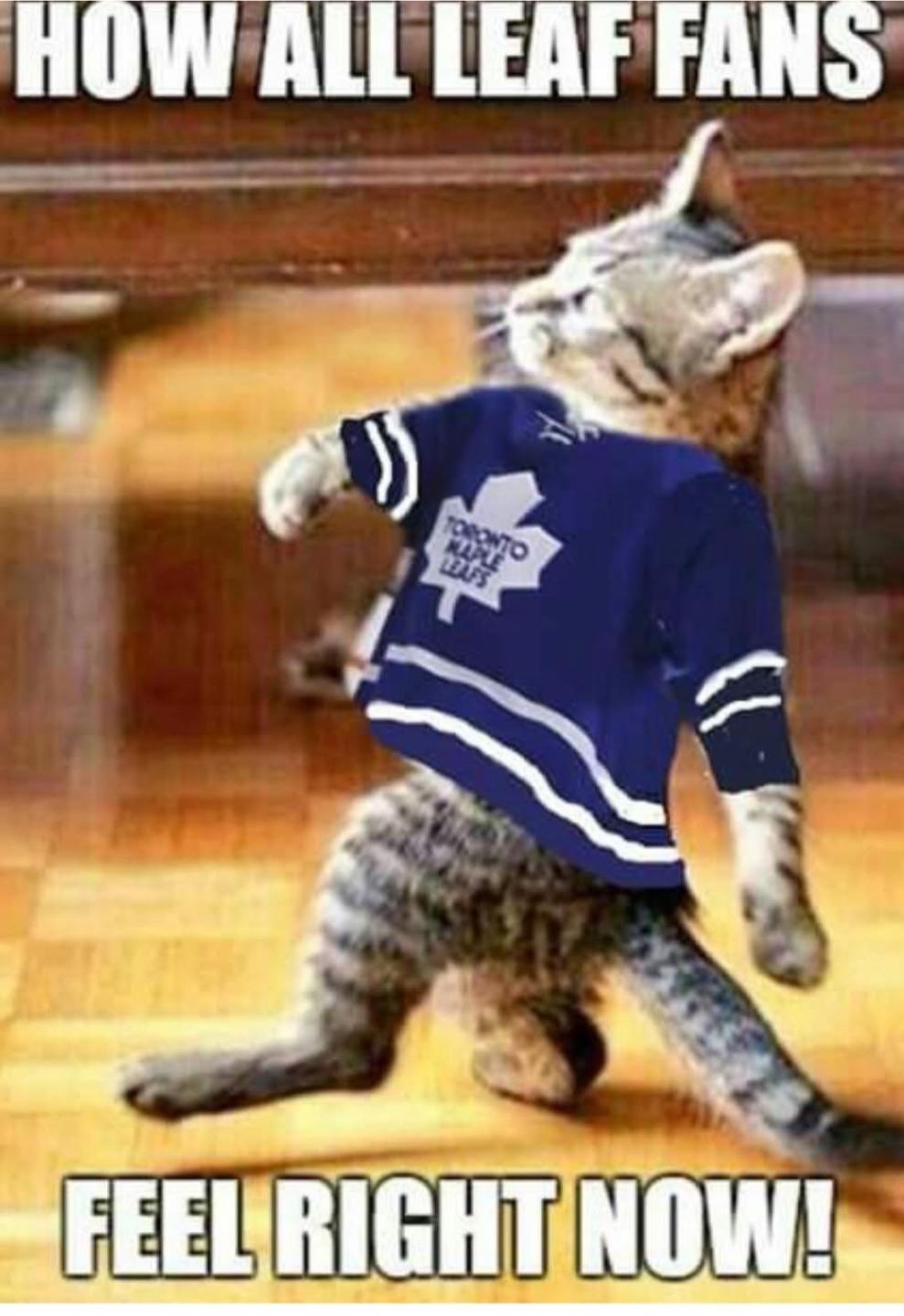 Sandi profile