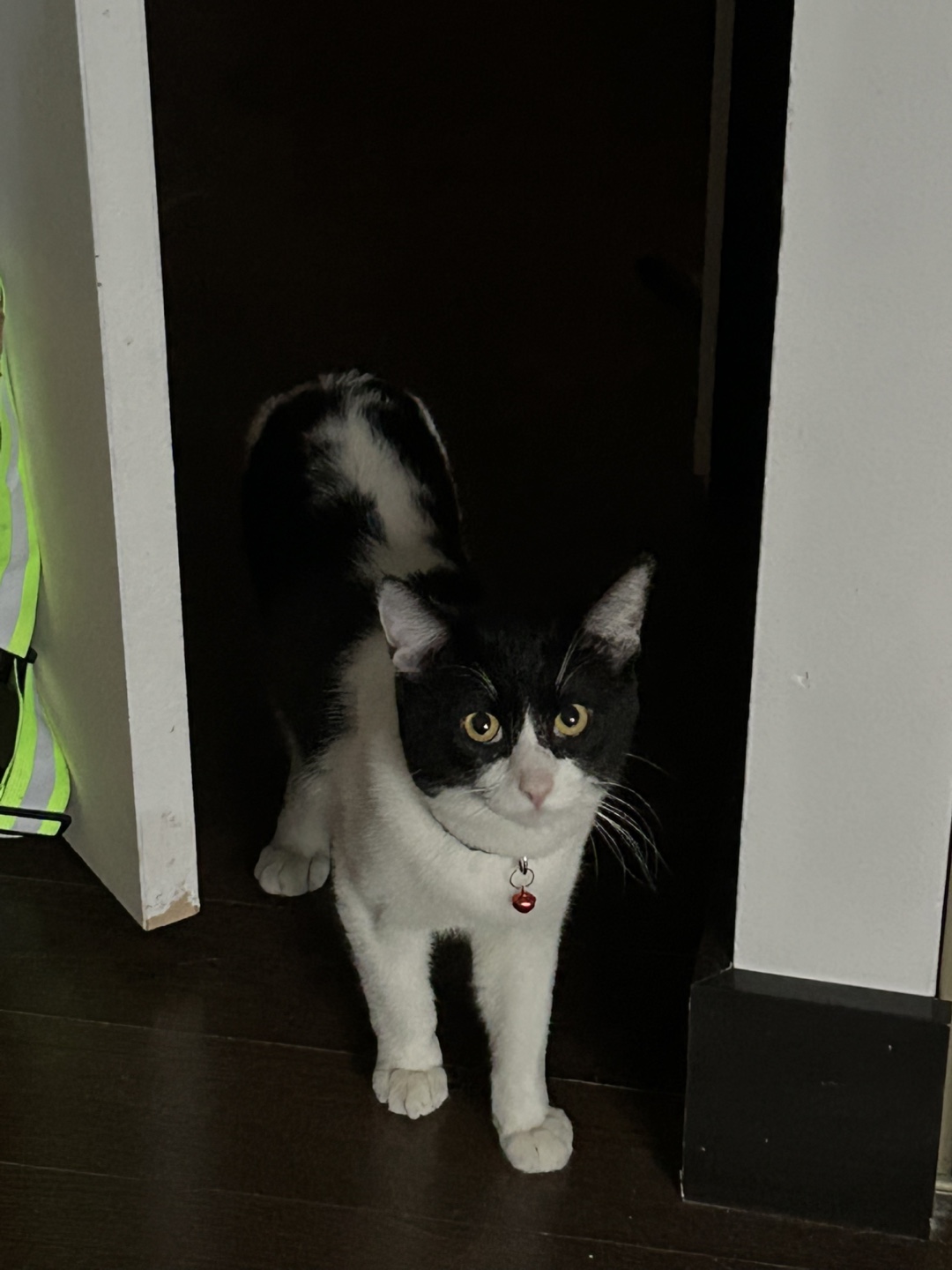 Jem