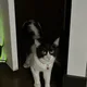 Jem profile