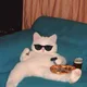 Meowww profile