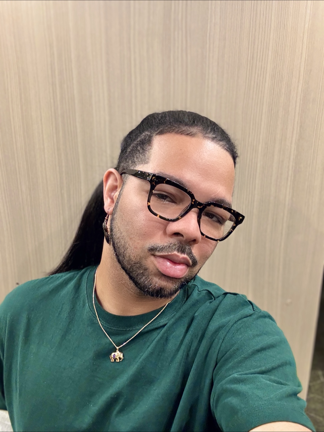 Everett profile