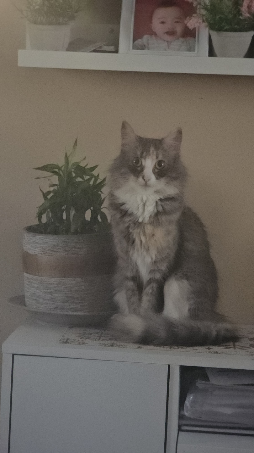 kay profile