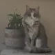 kay profile